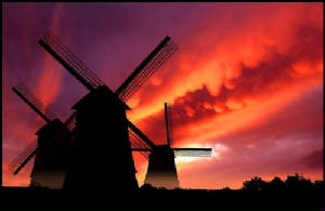windmillparadise.jpg